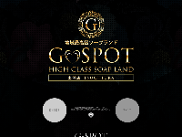 G-SPOT